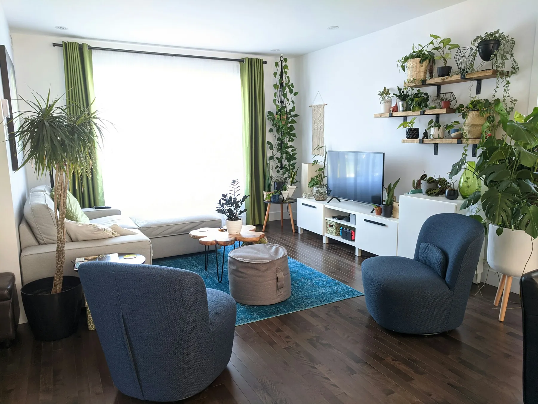 Sala clara e tranquila com poltronas azuis, tapete e muitas plantas